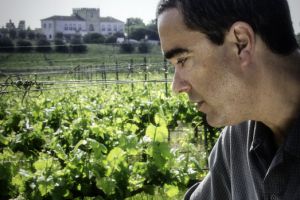 Amoreira da Torre vinha paulo - 01.jpg