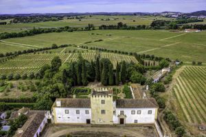 Amoreira da Torre - Aéreas - 06.JPG