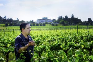 Amoreira da Torre vinha paulo - 03.jpg