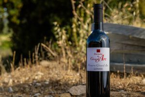 51184 Résèrve Grand Arc.jpg