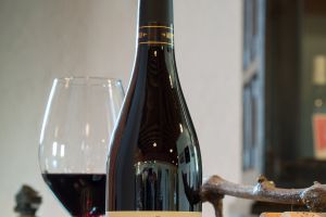 Cabernet Sauvignon.jpg