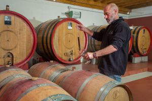 Le analisi della qualit+á.jpg