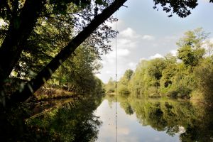 IL TORRENTE TORRE.jpg