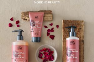 Dare to Dream 1080x1920.jpg