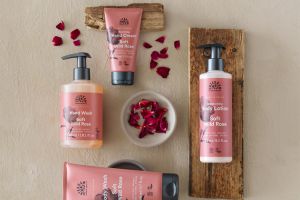 Dare to Dream 1350x1080px.jpg